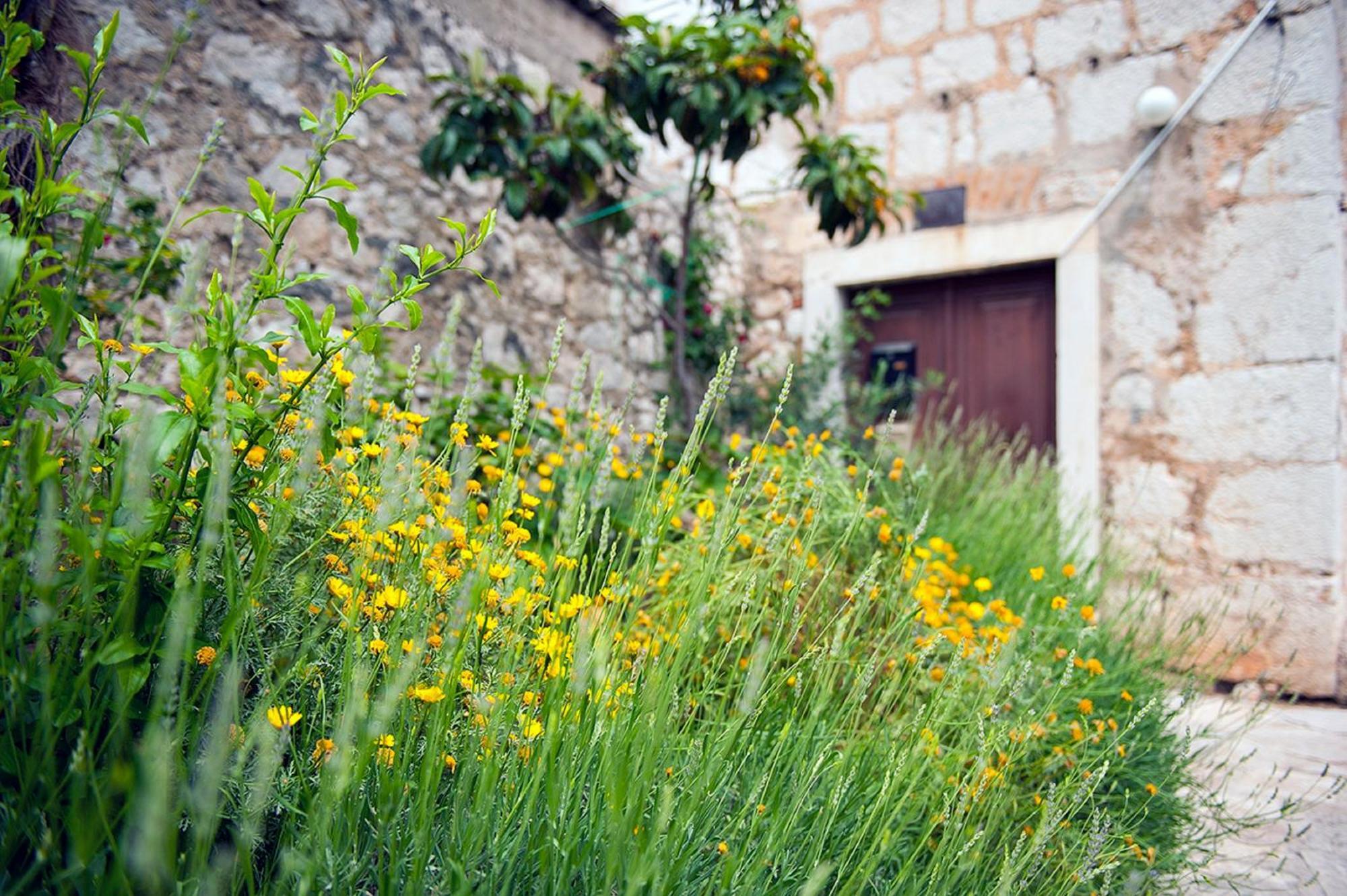 Dalmatian Garden - Free Parking - City Centre Šibenik Exterior foto